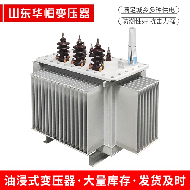 S13-10000/35津南津南津南油浸式变压器厂家